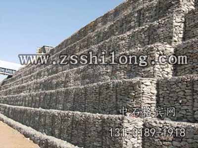 zsshilong17.jpg zsshilong17.jpg