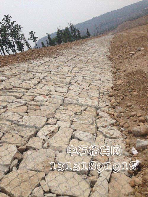 护坡绿滨垫 护坡绿滨垫